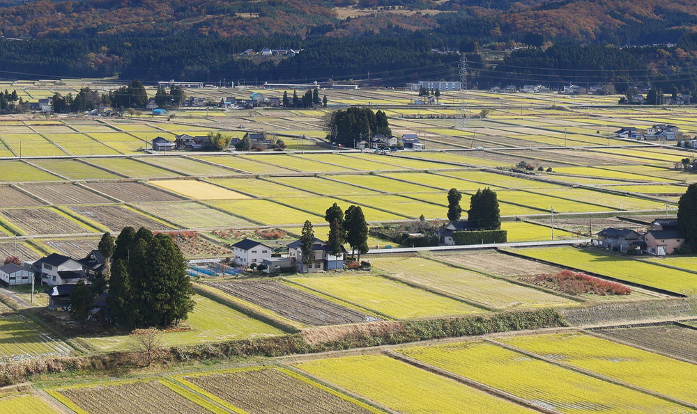 土地の使い方が変わったとき（地目変更登記）画像